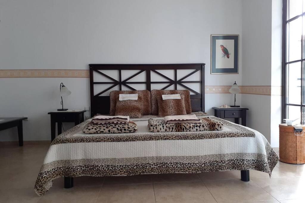 Studio At "The Cliff" Complex South Beach Obzor, Private Appartment A2A5 Eksteriør billede